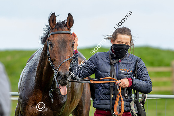 Essex with the Farmers and Union Hnt Point to Point