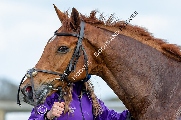Essex with the Farmers and Union Hnt Point to Point
