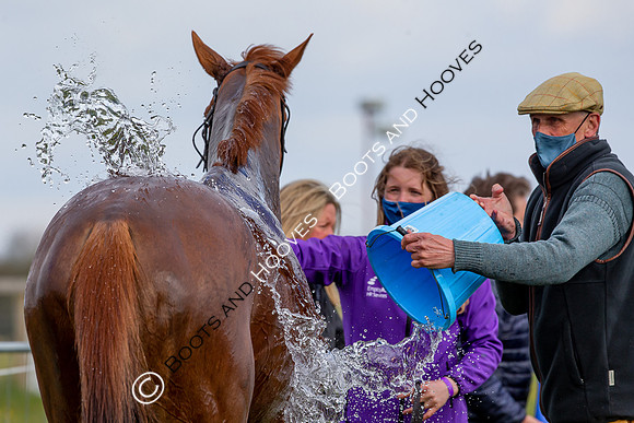 Essex with the Farmers and Union Hnt Point to Point