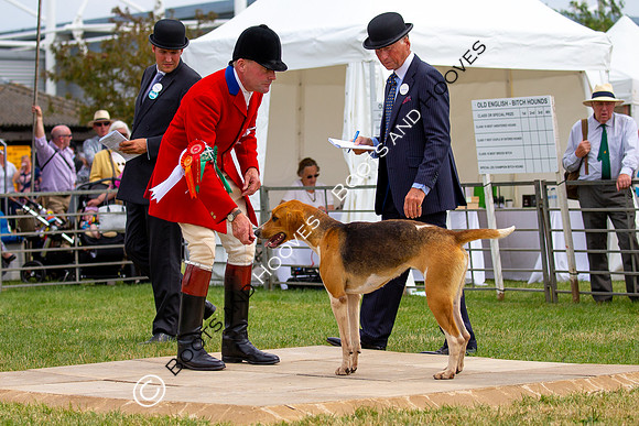 Festival of Hunting