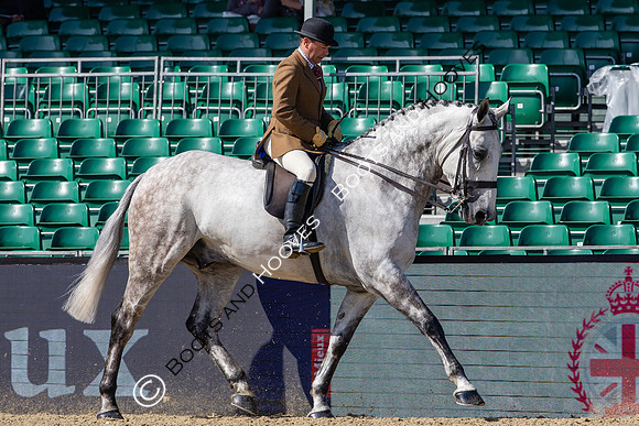 Royal Windsor Horse Show