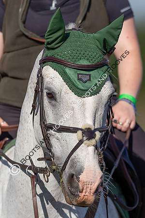 Wimpy Weekender