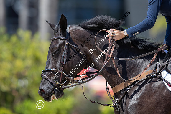 FEI Junior European Championship Young Riders, Juniors & Childre