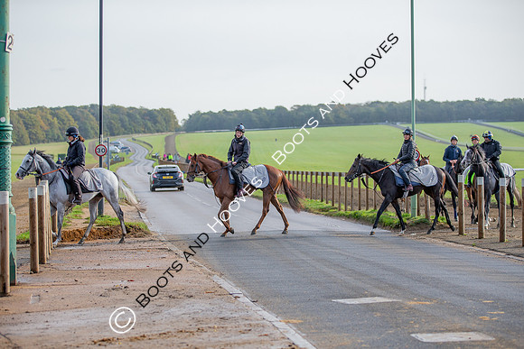 Newmarket
