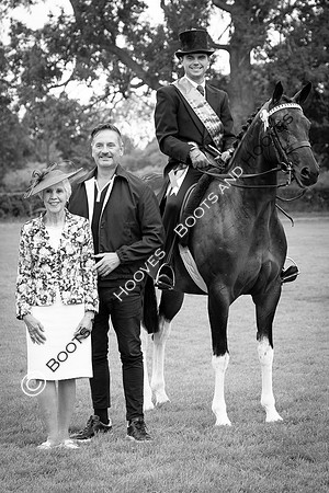 The Royal International Horse Show
