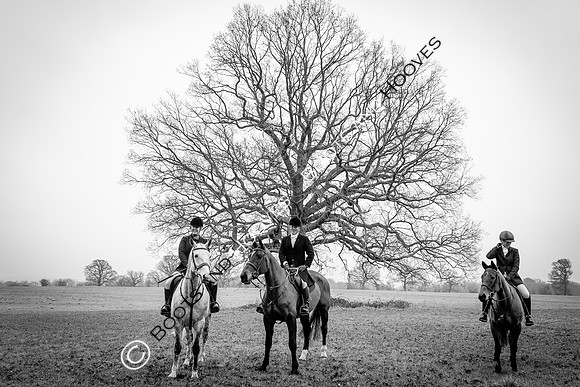 Puckeridge & Essex Hunts