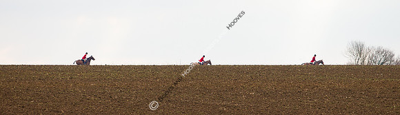 Hunting