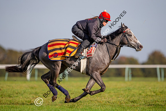 Newmarket