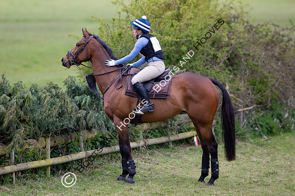 Silver Spur
