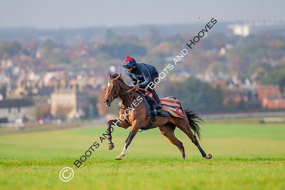 Newmarket