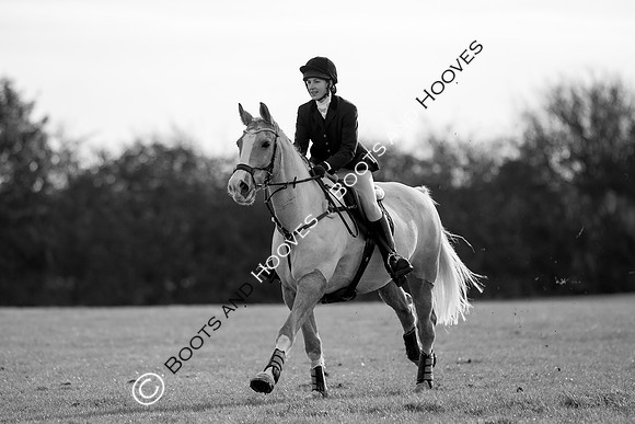East Essex Hunt. Ladies Day. 29/01/2019 ~ MANDATORY Credit Elli Birch/Bootsandhooves - NO UNAUTHORISED USE - 07745 909676