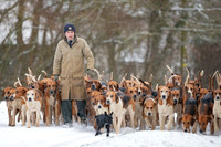 Hound Exercise