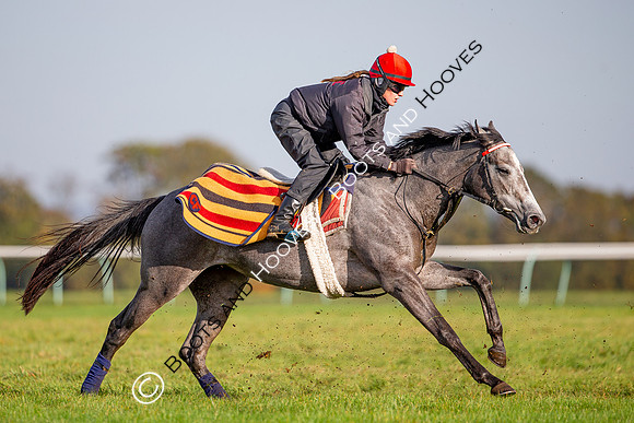 Newmarket