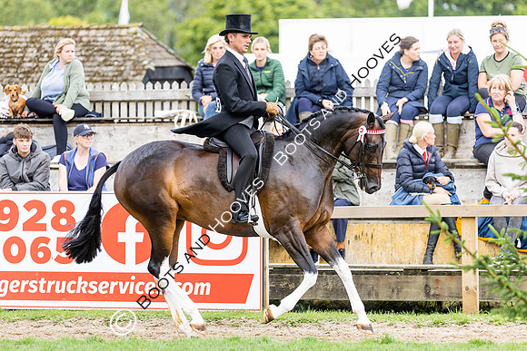 The Royal International Horse Show