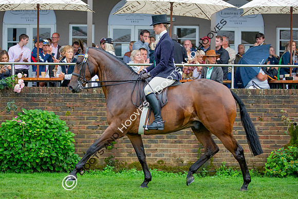 The Prenetics Royal International Horse Show