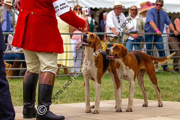 Festival of Hunting