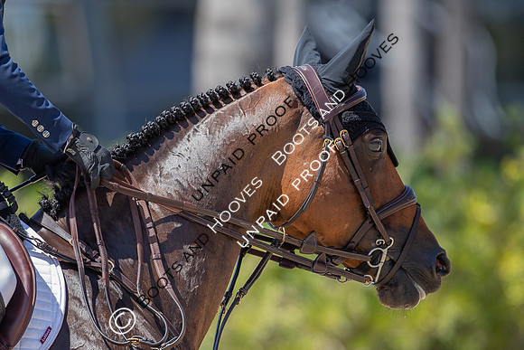 FEI Junior European Championship Young Riders, Juniors & Childre