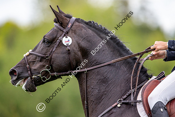 Science Supplements All England Jumping Championships