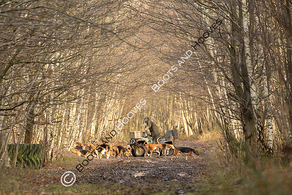 Hunting