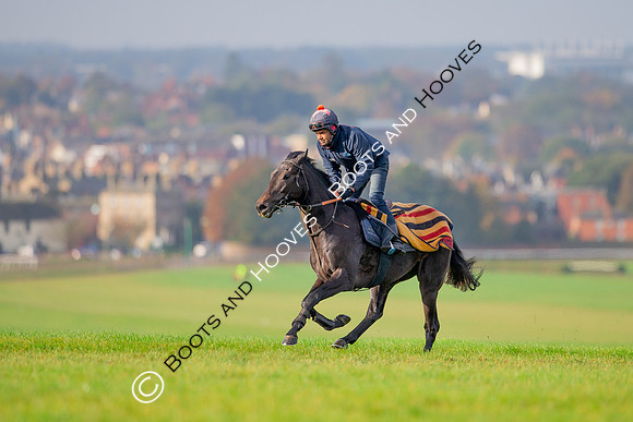 Newmarket
