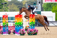 Royal Windsor Horse Show