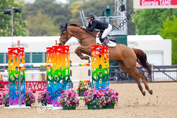 Royal Windsor Horse Show