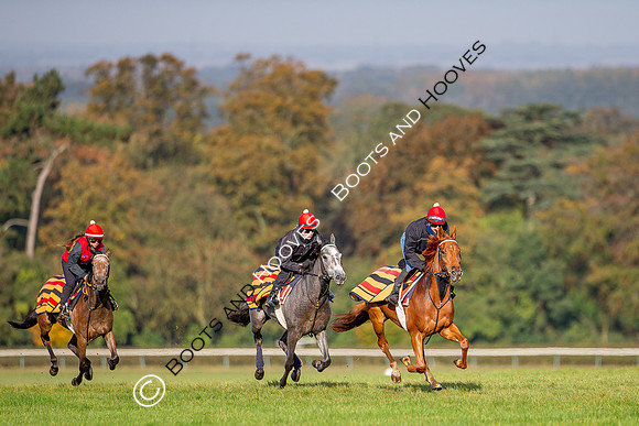 Newmarket