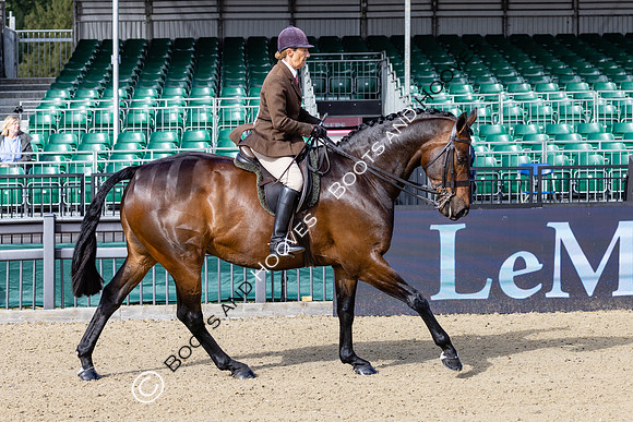 Royal Windsor Horse Show