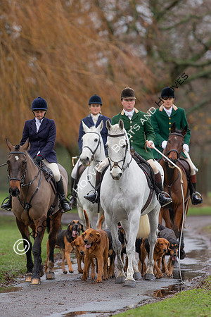Bloodhounds