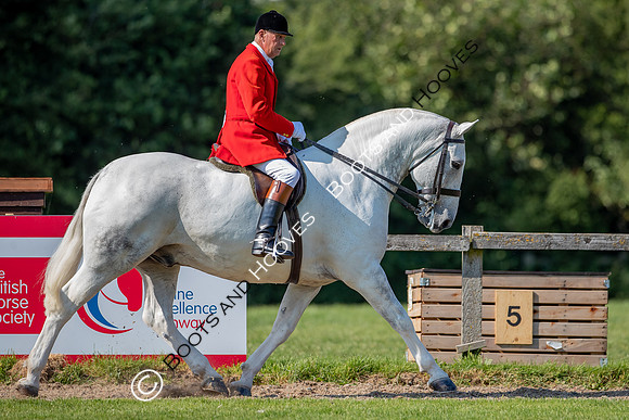 The Prenetics Royal International Horse Show