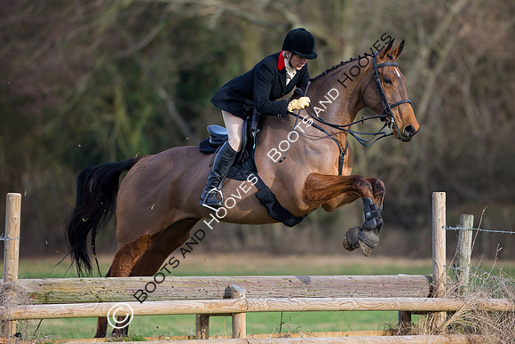 East Essex Hunt. Ladies Day. 29/01/2019 ~ MANDATORY Credit Elli Birch/Bootsandhooves - NO UNAUTHORISED USE - 07745 909676