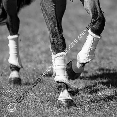 Barefoot Retreats Burnham Market Horse Trials