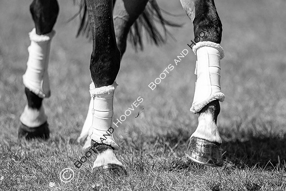 Barefoot Retreats Burnham Market Horse Trials