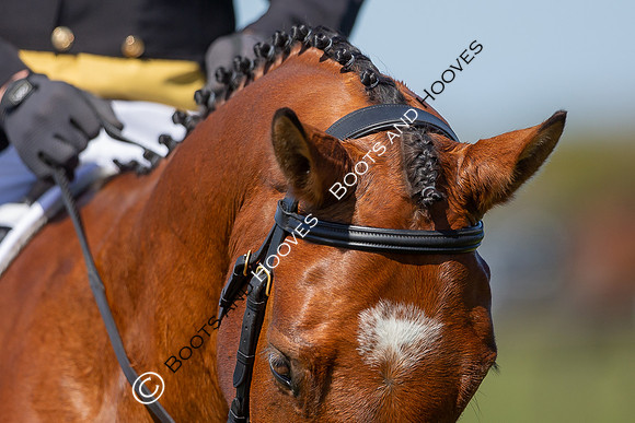 Barefoot Retreats Burnham Market Horse Trials