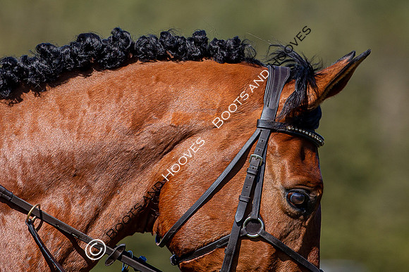 Barefoot Retreats Burnham Market Horse Trials