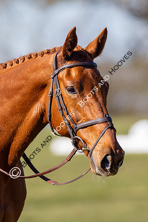 Barefoot Retreats Burnham Market Horse Trials