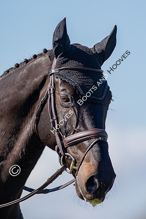 Barefoot Retreats Burnham Market Horse Trials