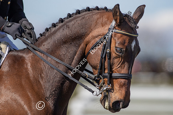 Barefoot Retreats Burnham Market Horse Trials