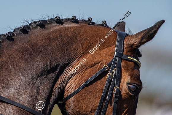 Barefoot Retreats Burnham Market Horse Trials