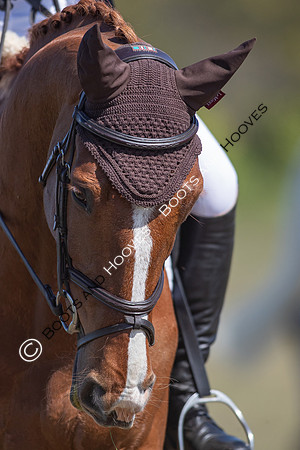 Barefoot Retreats Burnham Market Horse Trials