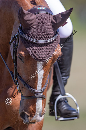 Barefoot Retreats Burnham Market Horse Trials