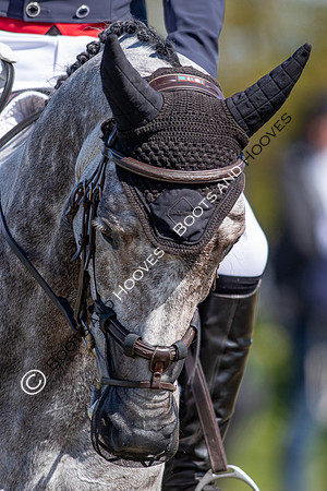 Barefoot Retreats Burnham Market Horse Trials