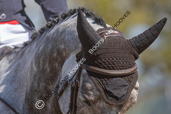 Barefoot Retreats Burnham Market Horse Trials
