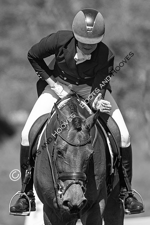 Barefoot Retreats Burnham Market Horse Trials