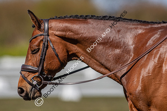 Barefoot Retreats Burnham Market Horse Trials