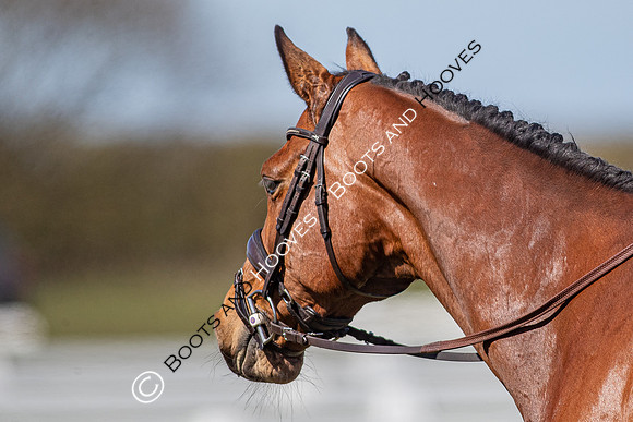 Barefoot Retreats Burnham Market Horse Trials