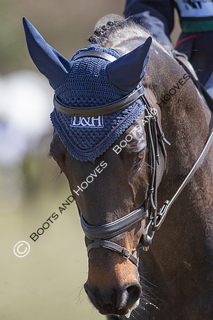Barefoot Retreats Burnham Market Horse Trials
