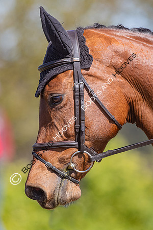 Barefoot Retreats Burnham Market Horse Trials