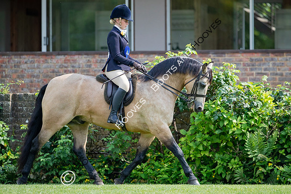 The Prenetics Royal International Horse Show