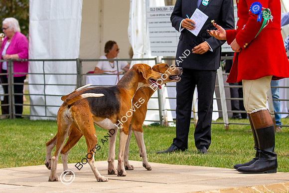 Festival of Hunting